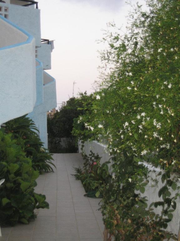 Irilena Apartments Stalida 外观 照片
